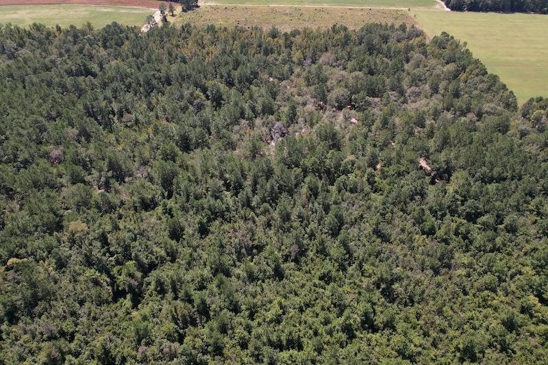 Evergreen, NC 39.7 acres Land and Farms Realty